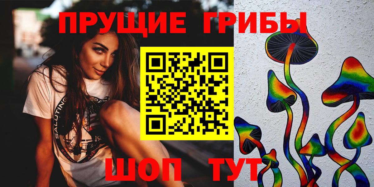 Осинники  Псилоцибиновые грибы Cubensis  Вход с VPN  Галлюциногенные грибы Psilocybine cubensis 